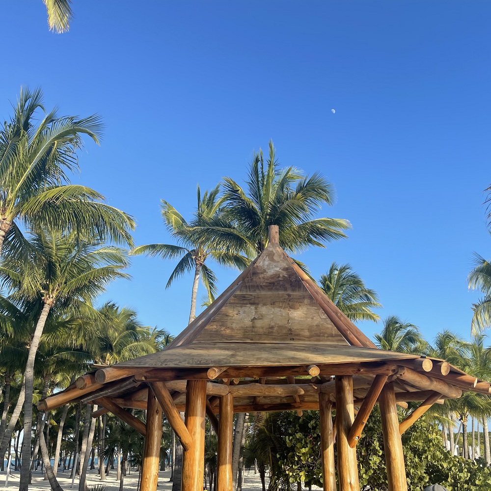 Custom tiki hut surrounded by palm trees under a clear blue sky, showcasing sustainable design and tropical charm, reflecting The Tiki Hut Company's commitment to luxury outdoor living.