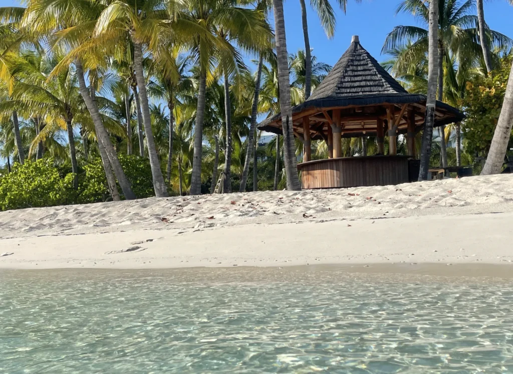 Tropical beach scene featuring a thatched gazebo surrounded by palm trees, highlighting a serene outdoor living space ideal for landscaping projects by The Tiki Hut Company.