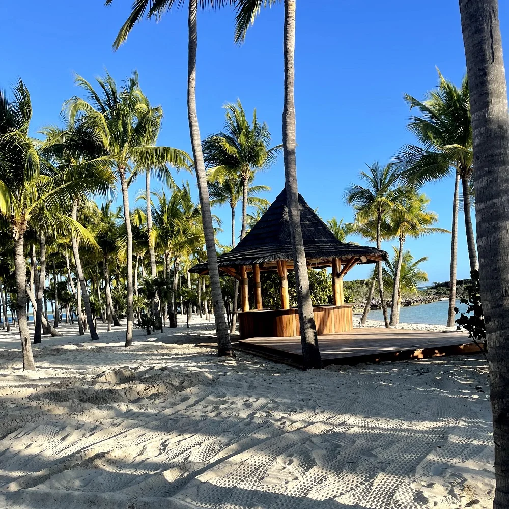 Tiki hut surrounded by palm trees on a sandy beach, showcasing a serene outdoor space ideal for luxury landscaping and cohesive design.